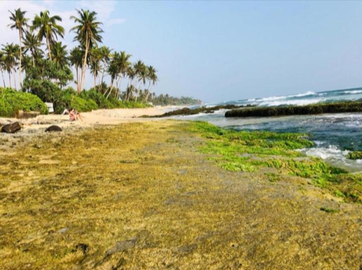 Sandaru Surffing Inn Weligama Exterior photo