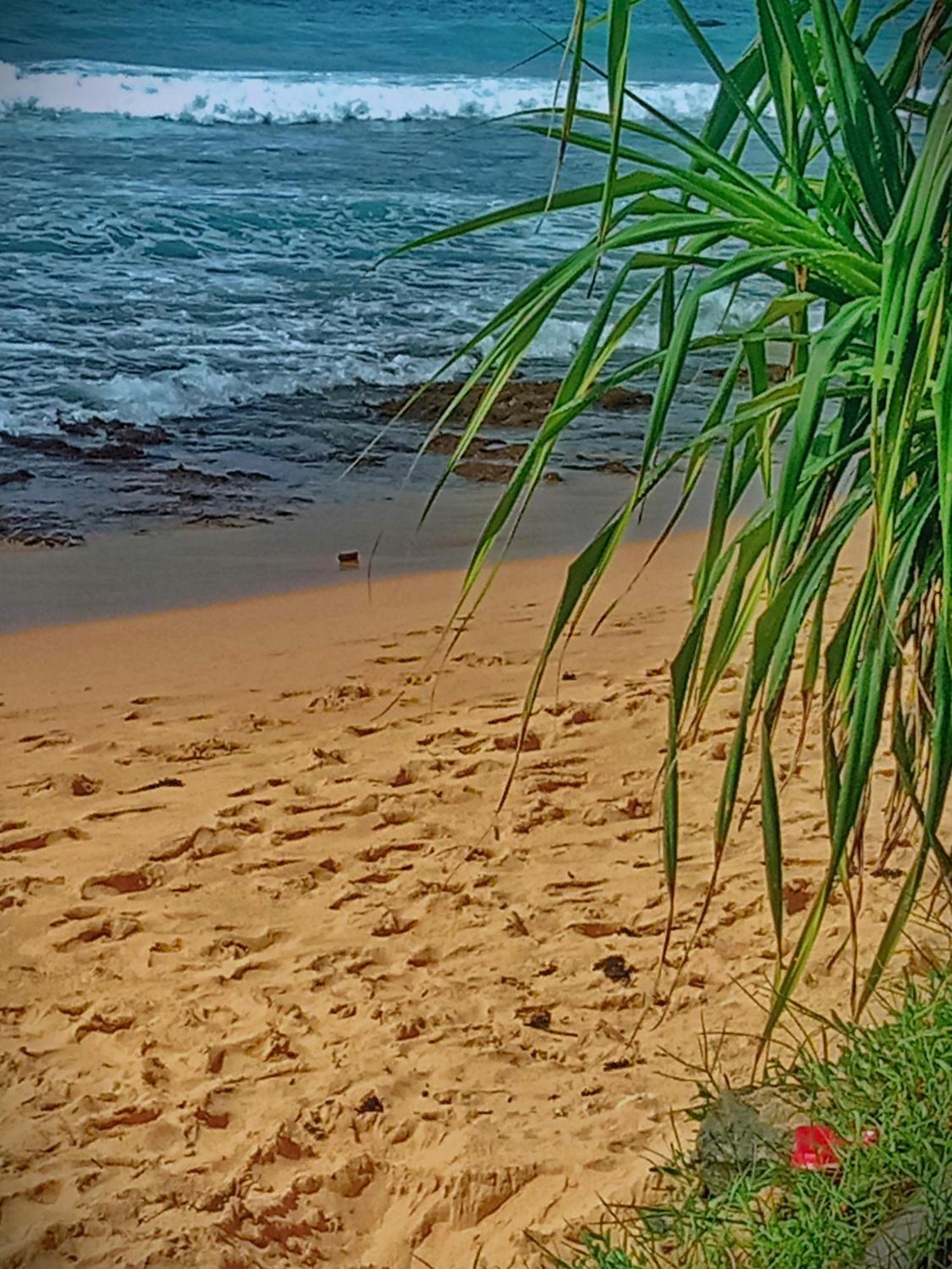 Sandaru Surffing Inn Weligama Exterior photo